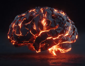 Swan Song Project Update #4